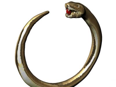 Anello Letizia Prospettica Anello Letizia Prospettica
